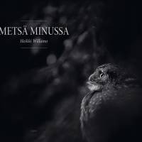 Metsä minussa